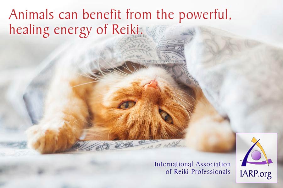 Animal Reiki & Pranic Healing | Golden Lotus Center
